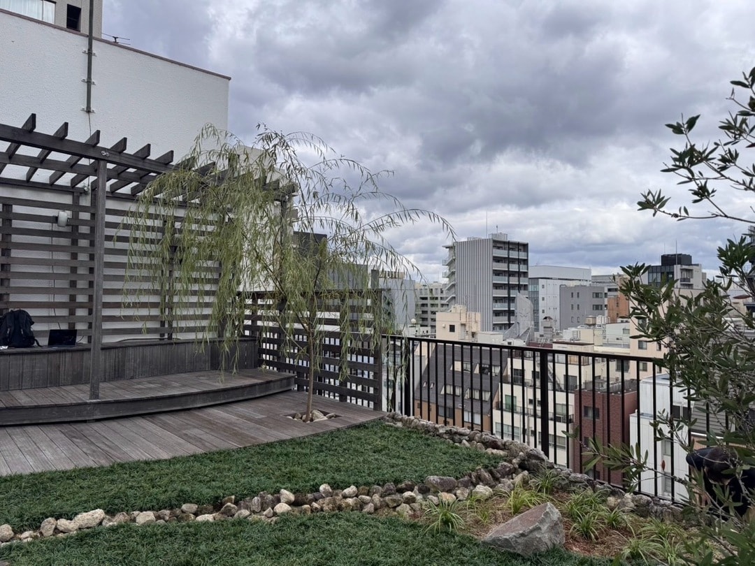 豊島屋ビル屋上庭園の柳